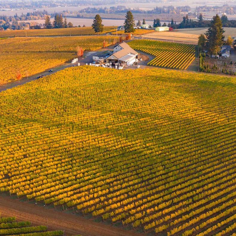 Wines of Willamette Valley with Mark & Pattie Björnson | December 6th | 6:00-7:30pm