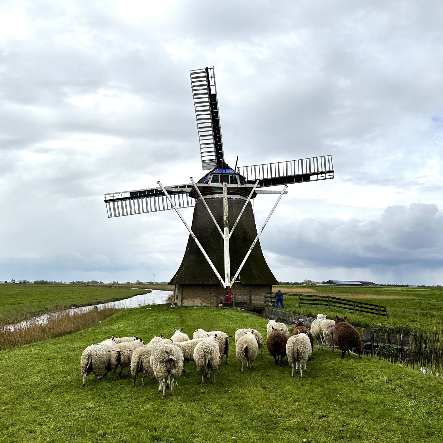 Cheeses of the Netherlands | July 17th | 6:00-7:30pm