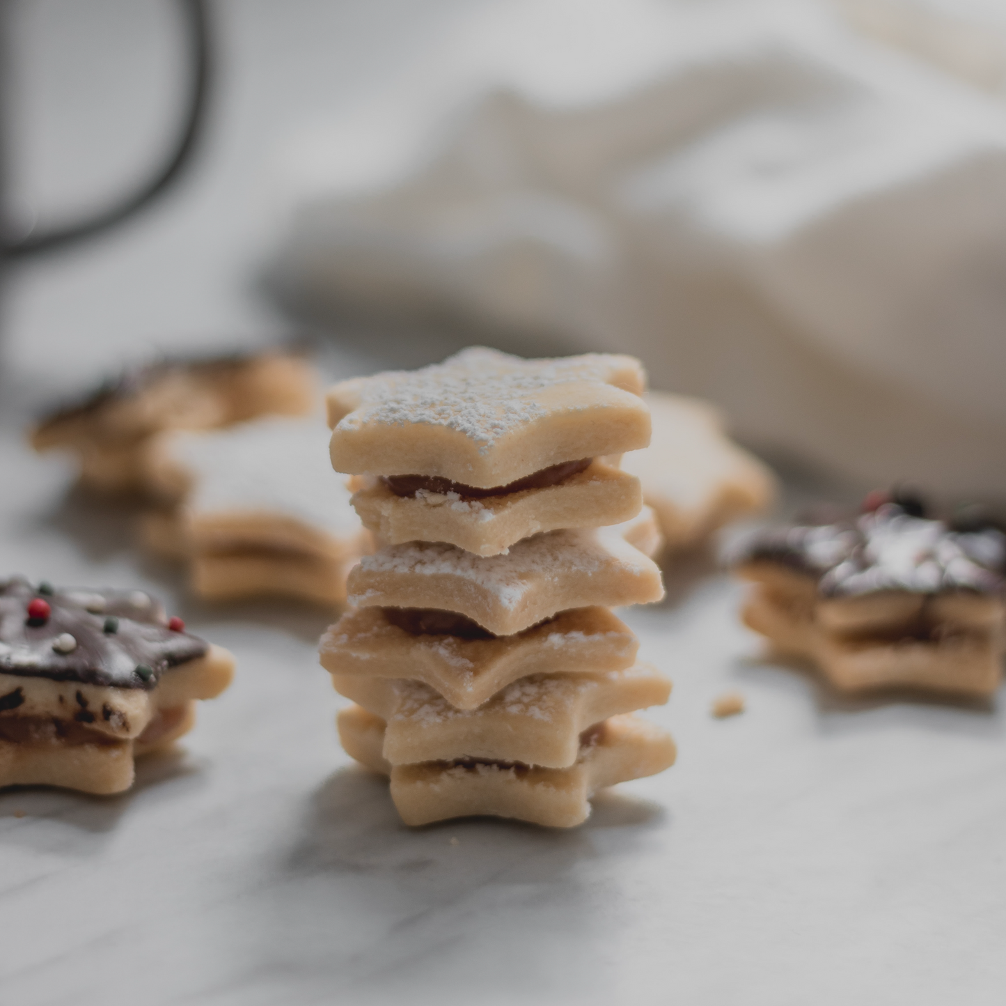 Family Holiday Cookie Decorating! | November 11th | 10:00-11:30am