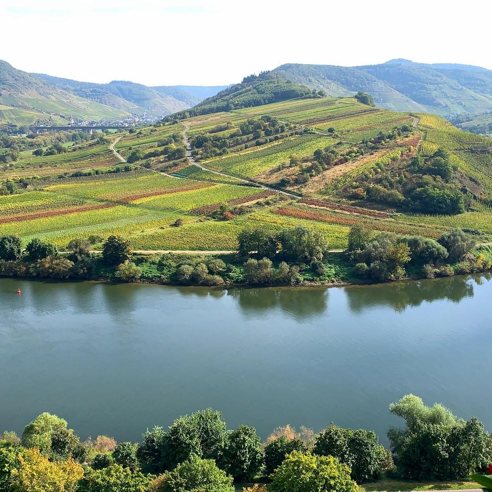 Hilly landscape with vineyards and a river