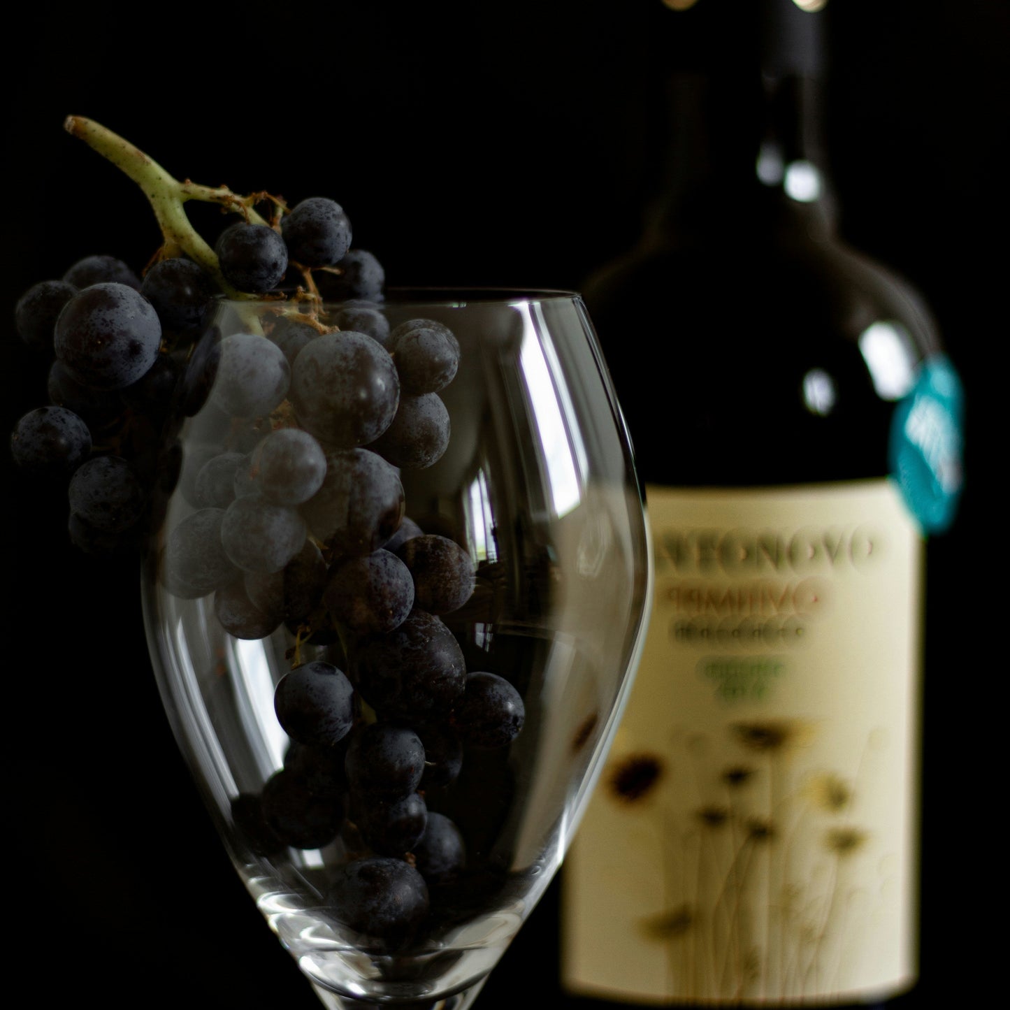 Harder, Better, Faster, Stronger: A Fortified Wine Tasting Experience | February 9th | 6:00-7:30 p.m.