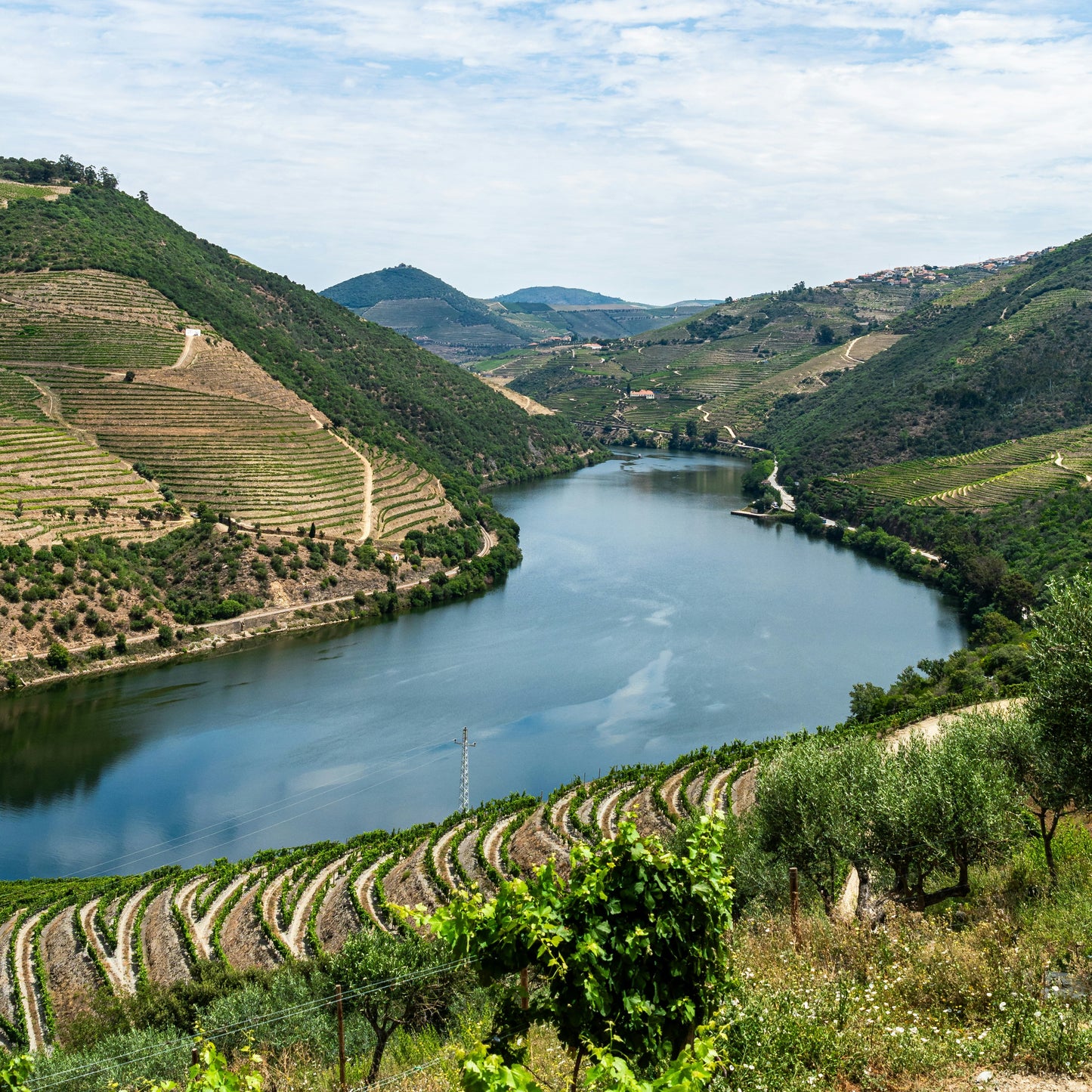 Wines of Spain & Portugal Part 2: Portugal | February 11th | 6:00-7:30pm | Waitlist only!