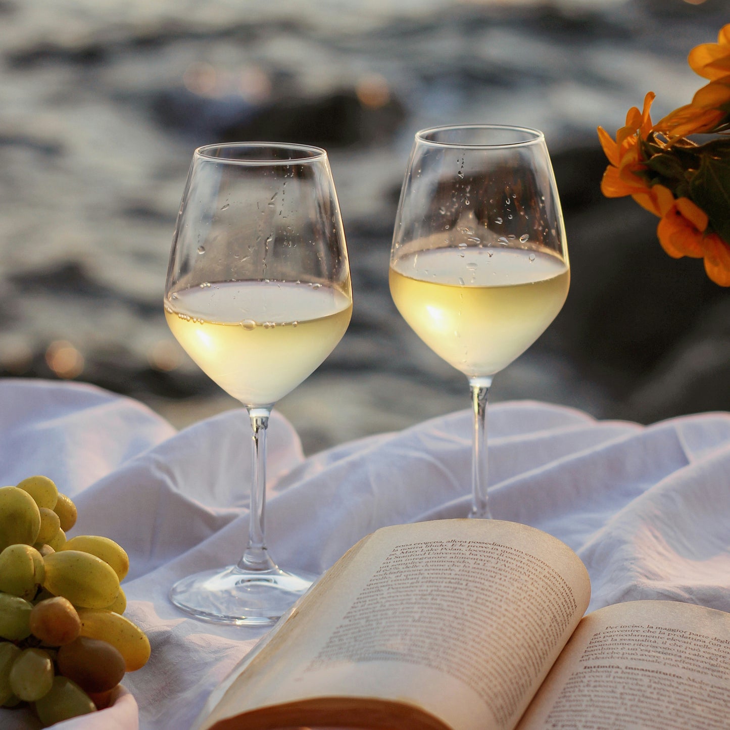 Summer Wines | July 2nd | 6:00-7:30pm