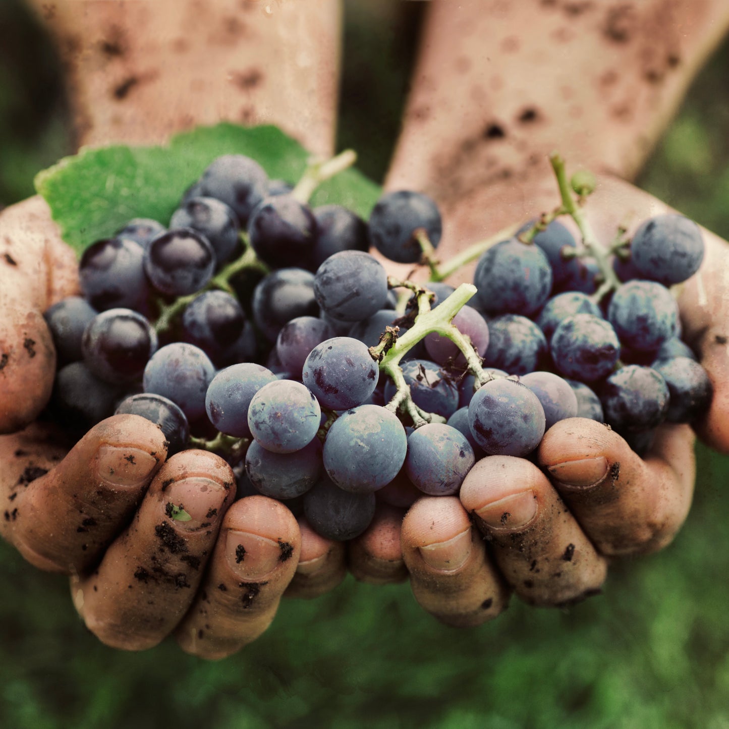 Zero/Zero: Living & Drinking Sustainably | February 28th | 6:30-8:00pm