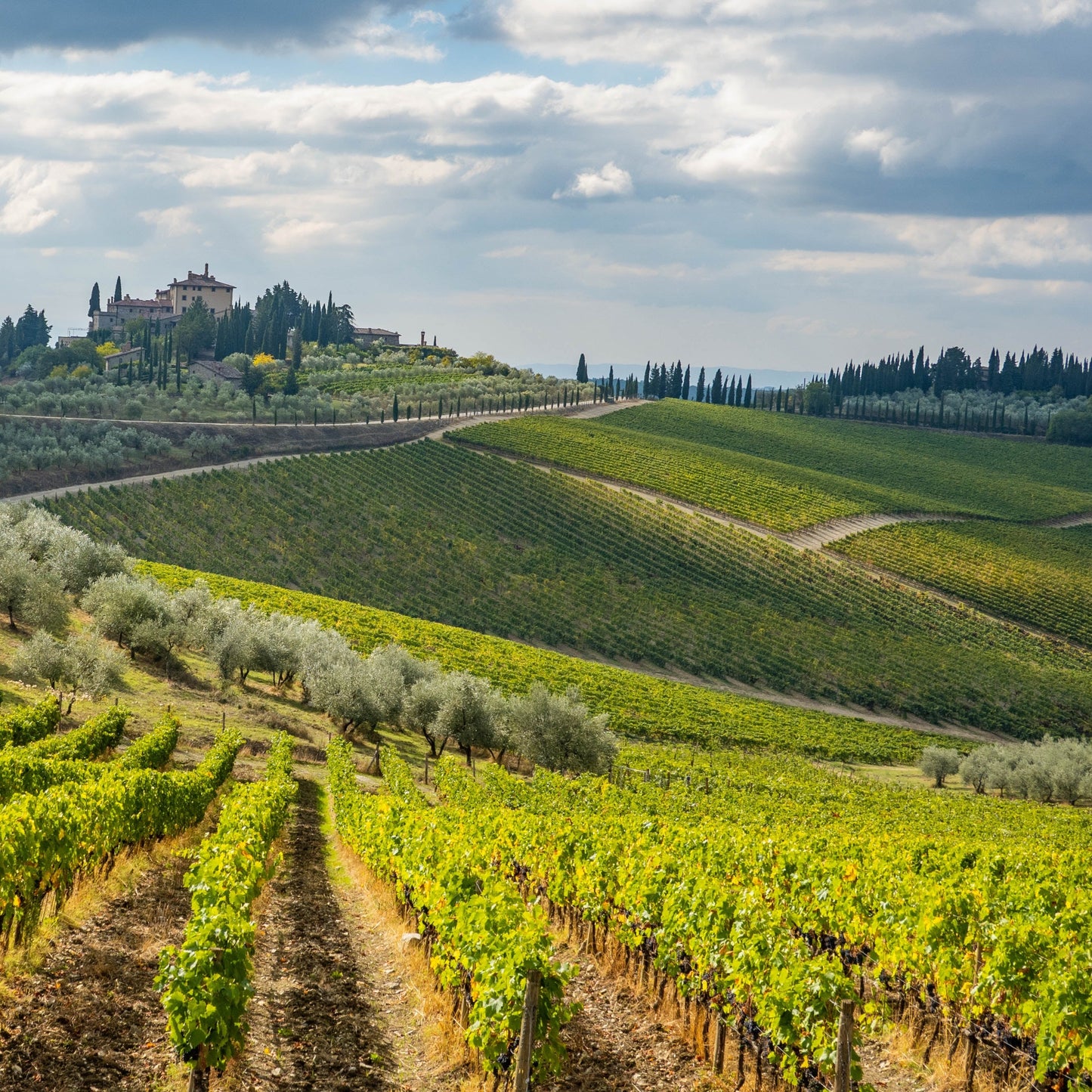 Wines of Italy Pt. 2: Central Italy | May 16th | 6:00-7:30pm