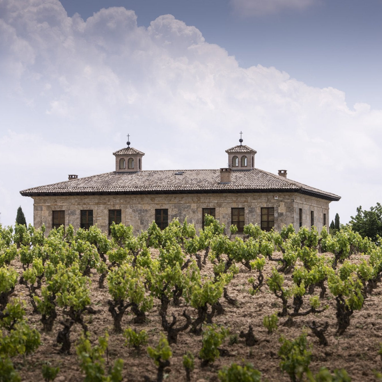 Spain in a Glass: The Wines of La Rioja Alta | November 5th | 6:00-7:30 p.m.