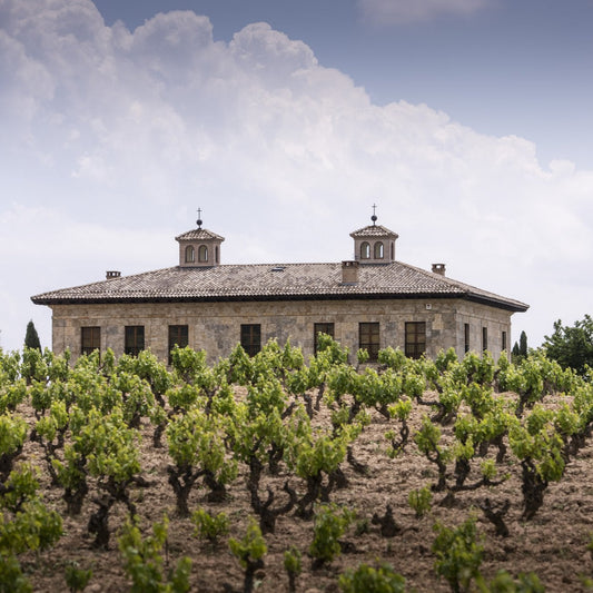 Spain in a Glass: The Wines of La Rioja Alta | November 5th | 6:00-7:30 p.m.
