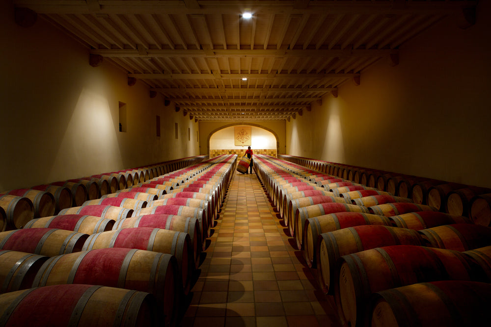 Barrels of wine in a cellar