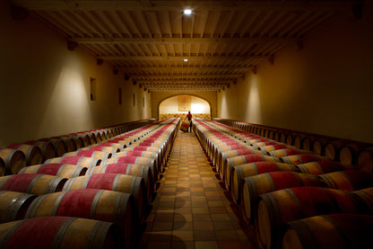 Barrels of wine in a cellar