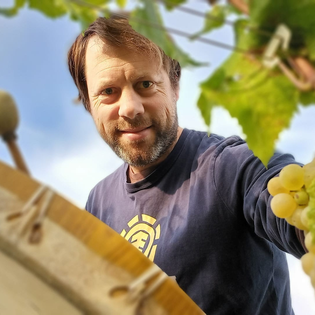 Man looking through grape leaves.