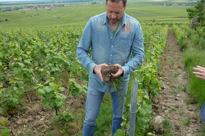 A man in a blue denim shirt and jeans stands in a vineyard holding a clump of soil and grapevine roots, with rows of grapevines and an open landscape in the background.