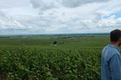 A scenic landscape photograph of a vineyard under a cloudy sky, with a man in a blue shirt visible on the right side of the frame.