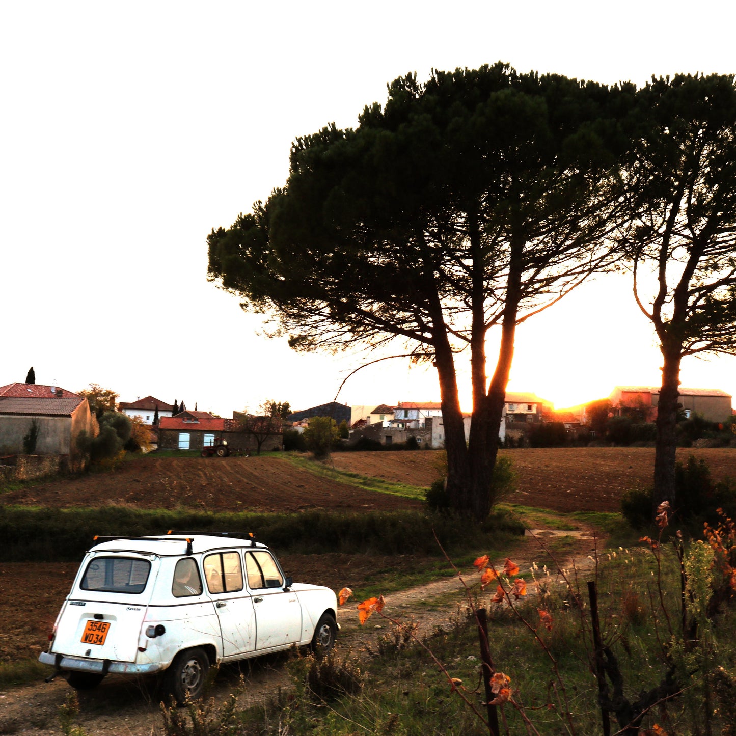 Wines of Southern France: Hot Sun & Village Life with author Steve Hoffman | October 10th | 6:00-8:00pm