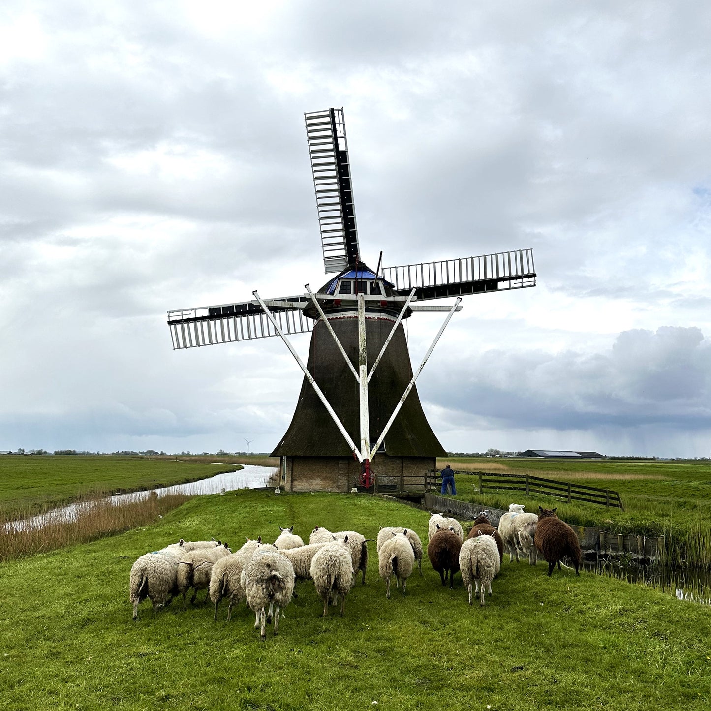 Cheeses of the Netherlands | March 5th | 6:00-7:30pm