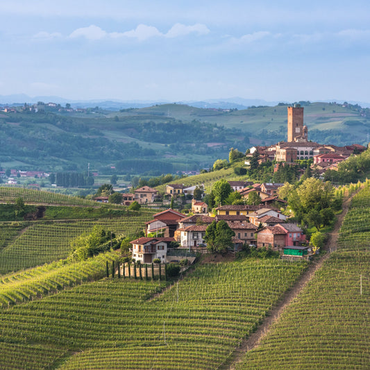 Wines of Italy Pt. 1: Northern Italy | April 9th | 6:00-7:30pm