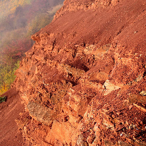 Close-up of a rocky cliff face with a blurred natural background