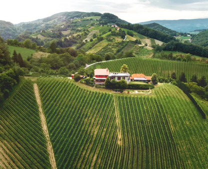 Wines of Slovenia | March 19th | 6:00-7:30 p.m.