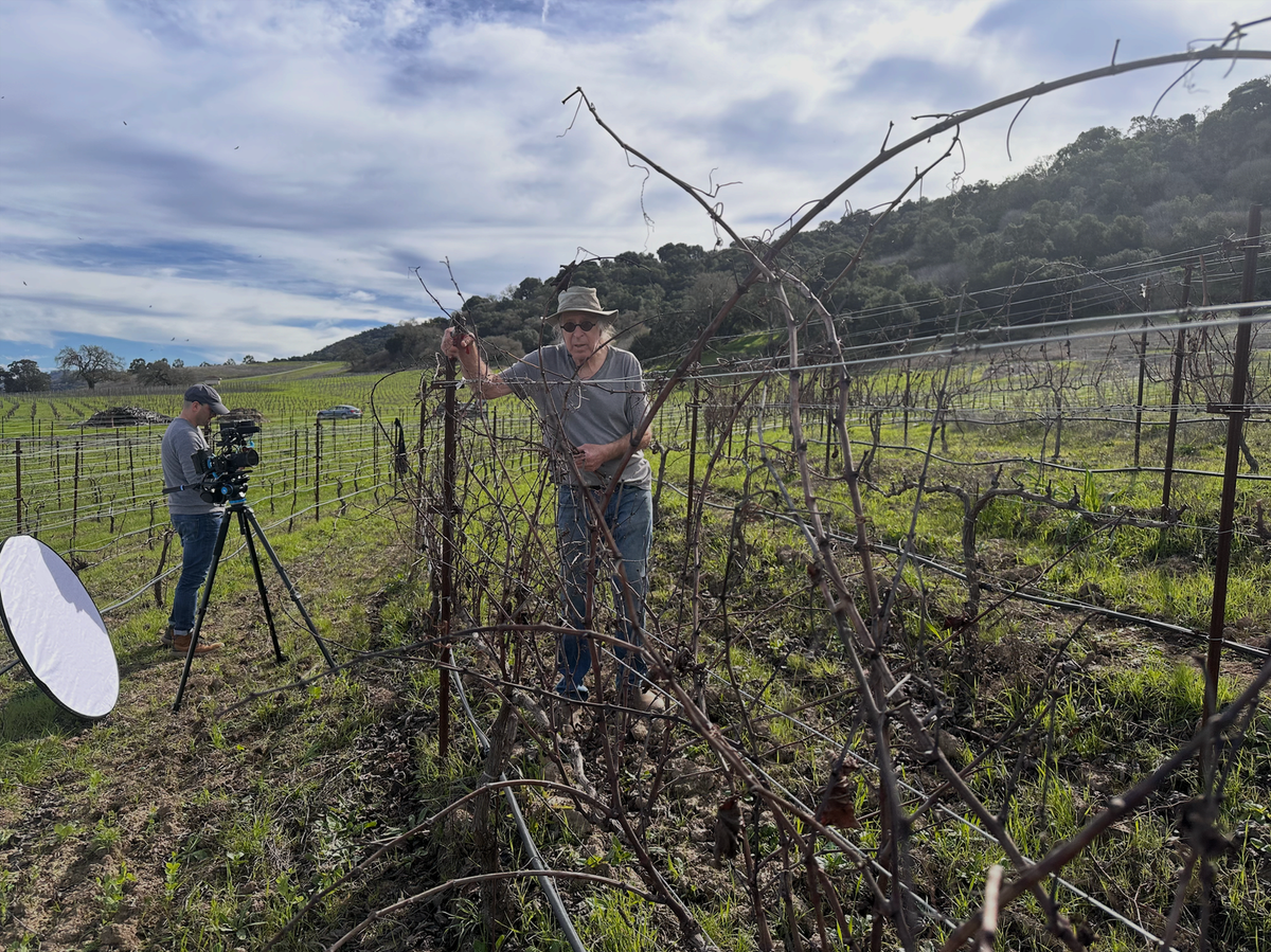 Winemaker Randall Graham tends to leafless grape vines in a gray t-shirt; director Jeffrey Reiner stands behind him with a camera on a tripod 