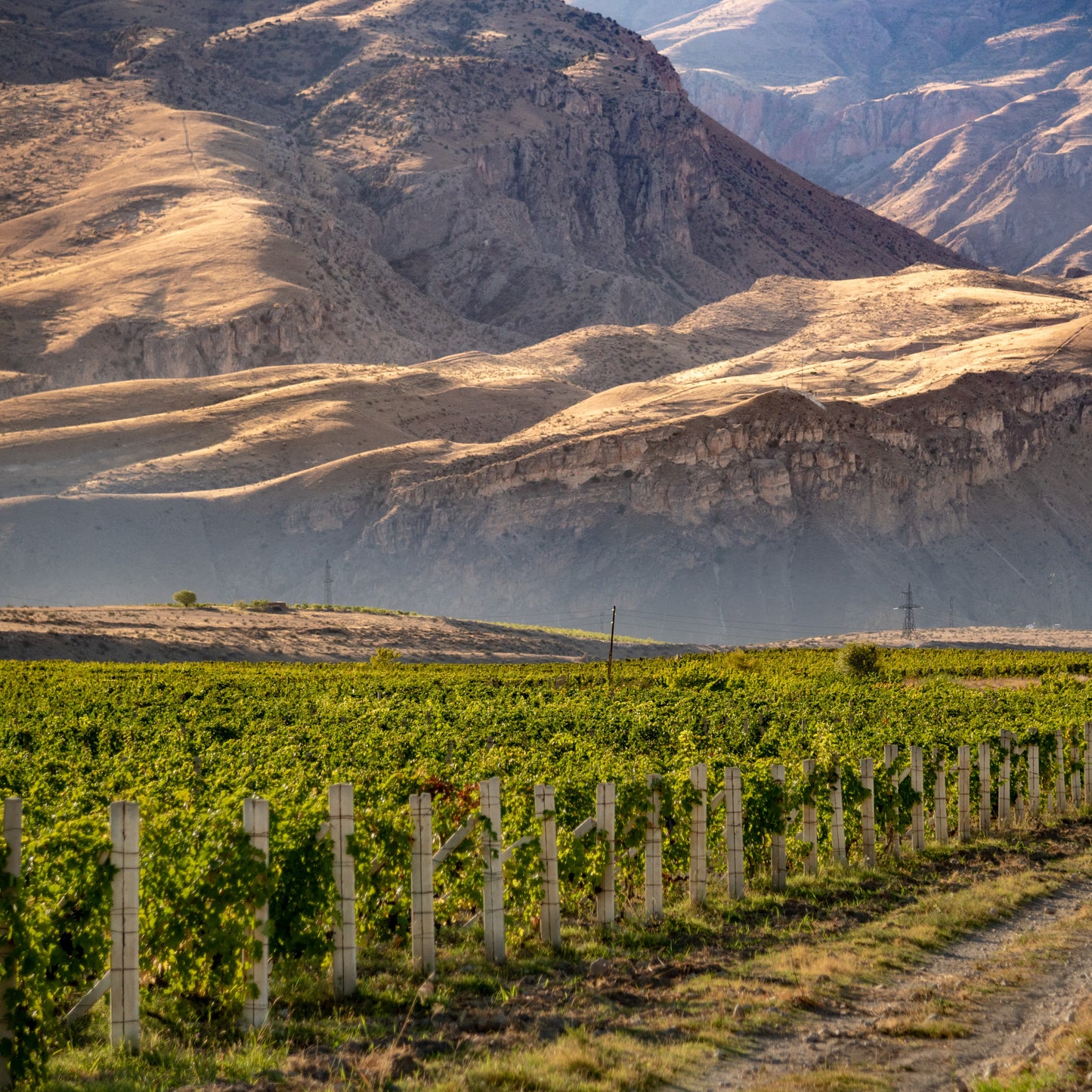 Wines of Armenia: The World of Ancient Wine | October 3rd | 6:00-7:30pm