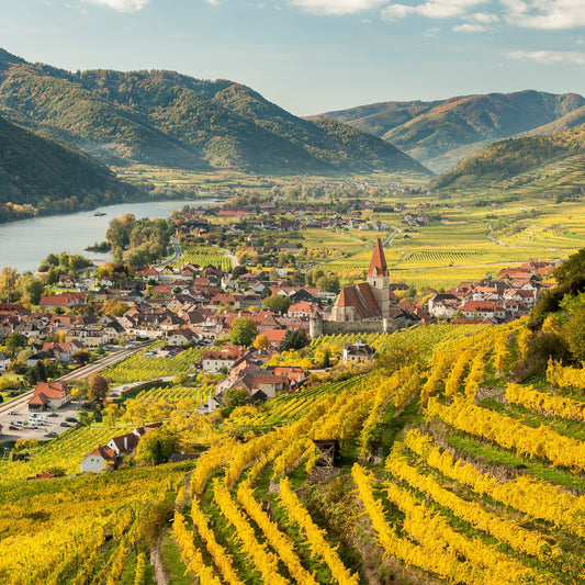 The Wonders of Riesling: Riesling Around the World! | June 1st | 6:00-7:30pm