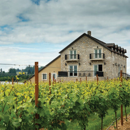 Wines of the Willamette Valley with Mark Bjornson | March 31st | 6:00-7:30pm