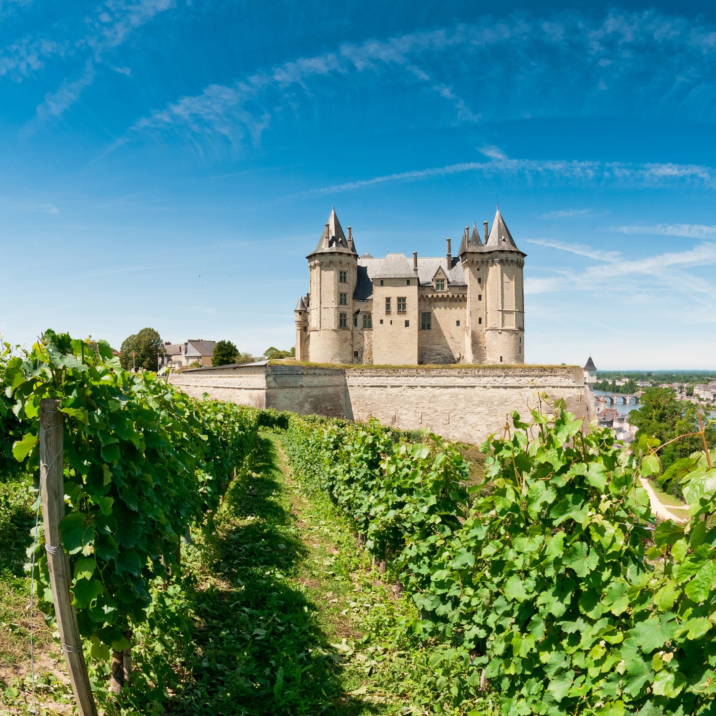 Wines of France Part 3: Northern France | March 25th | 6:00-7:30 p.m.