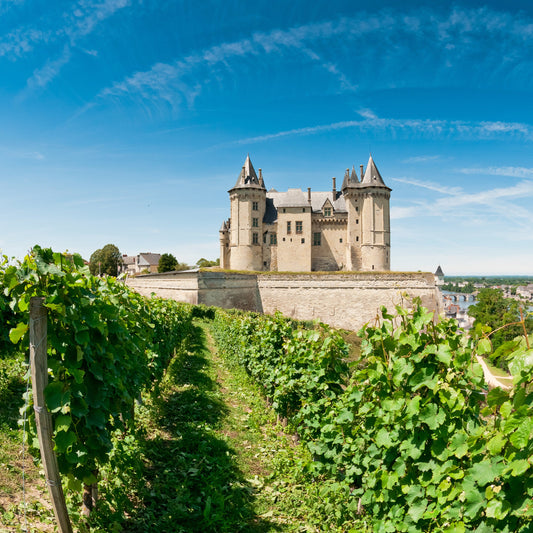 Wines of France Part 3: Northern France | March 25th | 6:00-7:30 p.m.