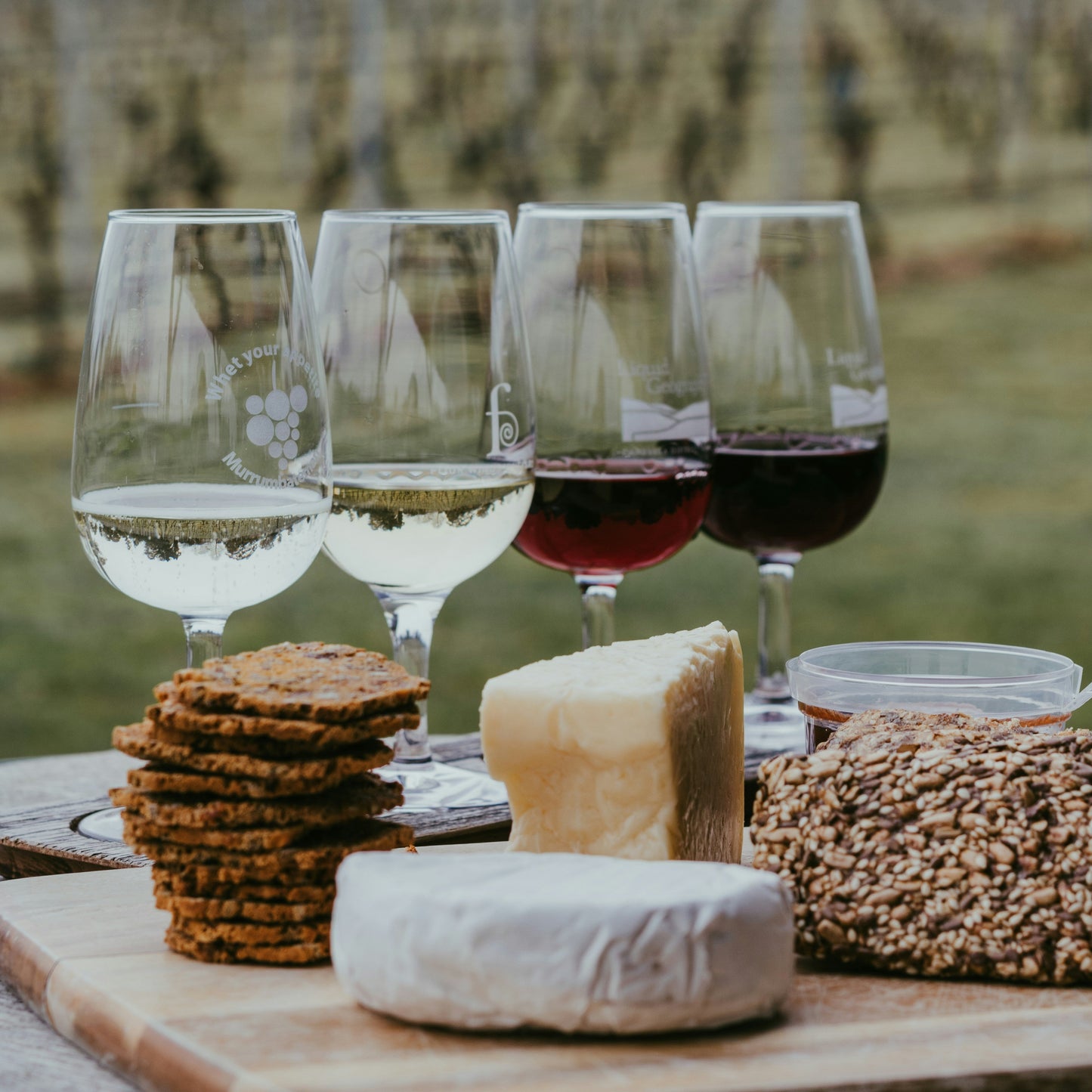 glasses of wine and cheese in a vineyard