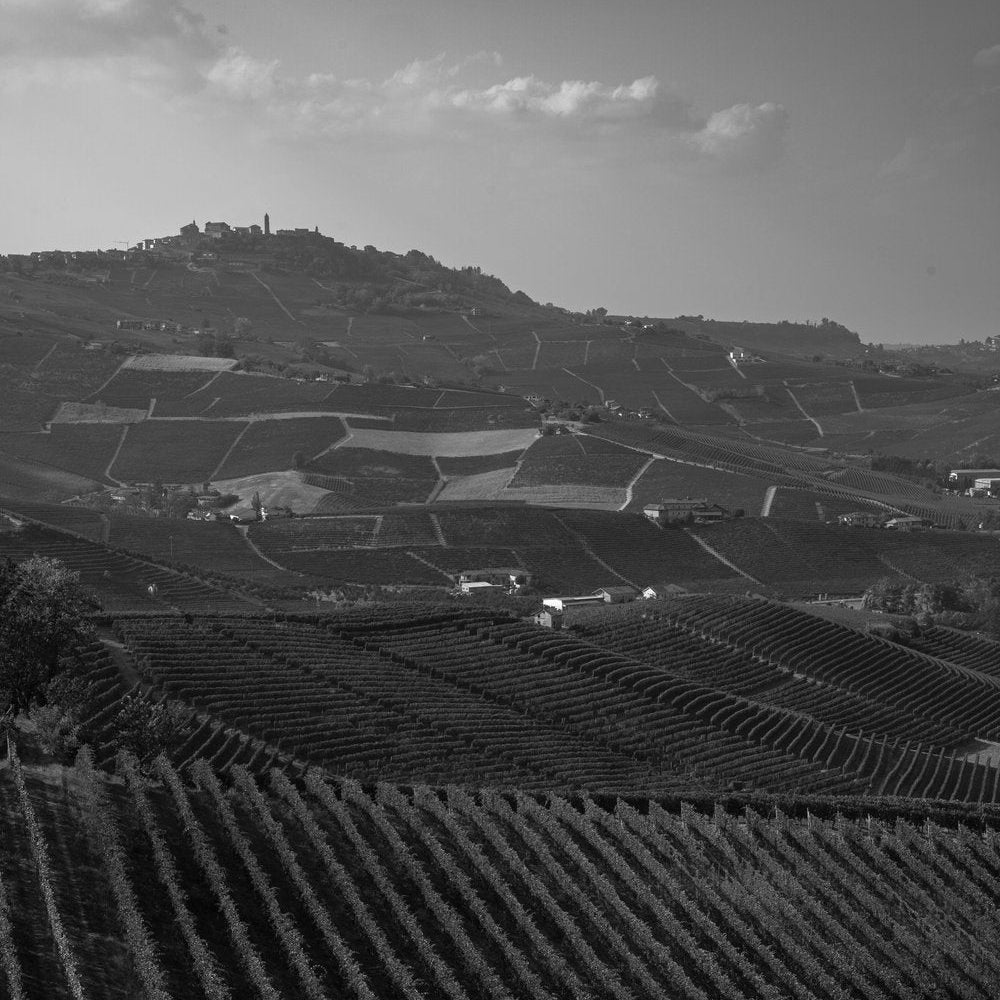 Wines of Piedmont with Eleonora Fenocchio | March 20th | 6:00-7:30pm