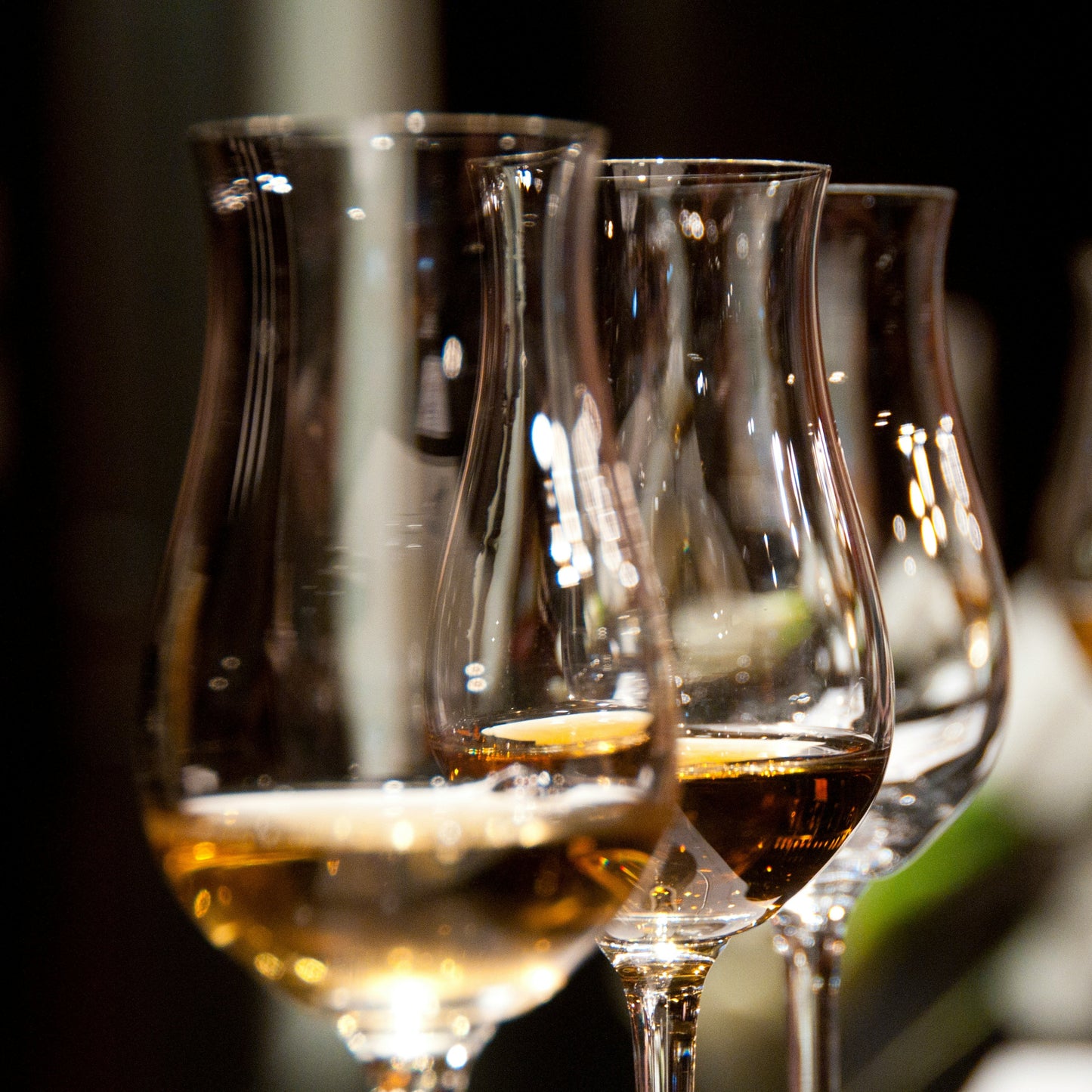 a closeup of a flight of sherry wines