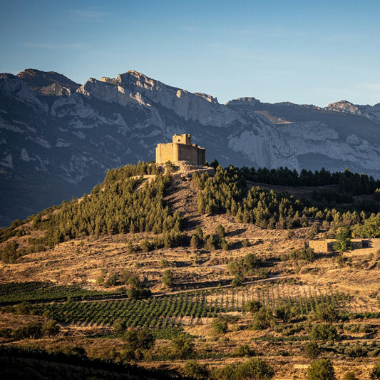 Wines of Spain & Portugal Part 1: Rioja & Beyond | January 8th | 6:00-7:30pm | Waitlist only!