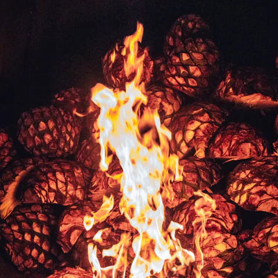 The Heart of Jalisco: An Evening with Mijenta | February 23rd | 6:00-7:30 p.m.