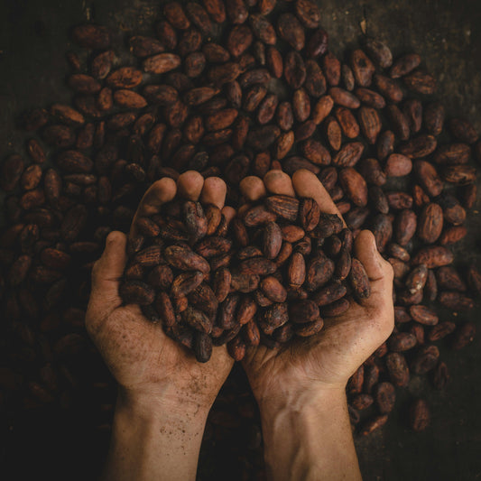 From Bean to Bar: Chocolate 101 | October 29th | 6:00-7:30pm