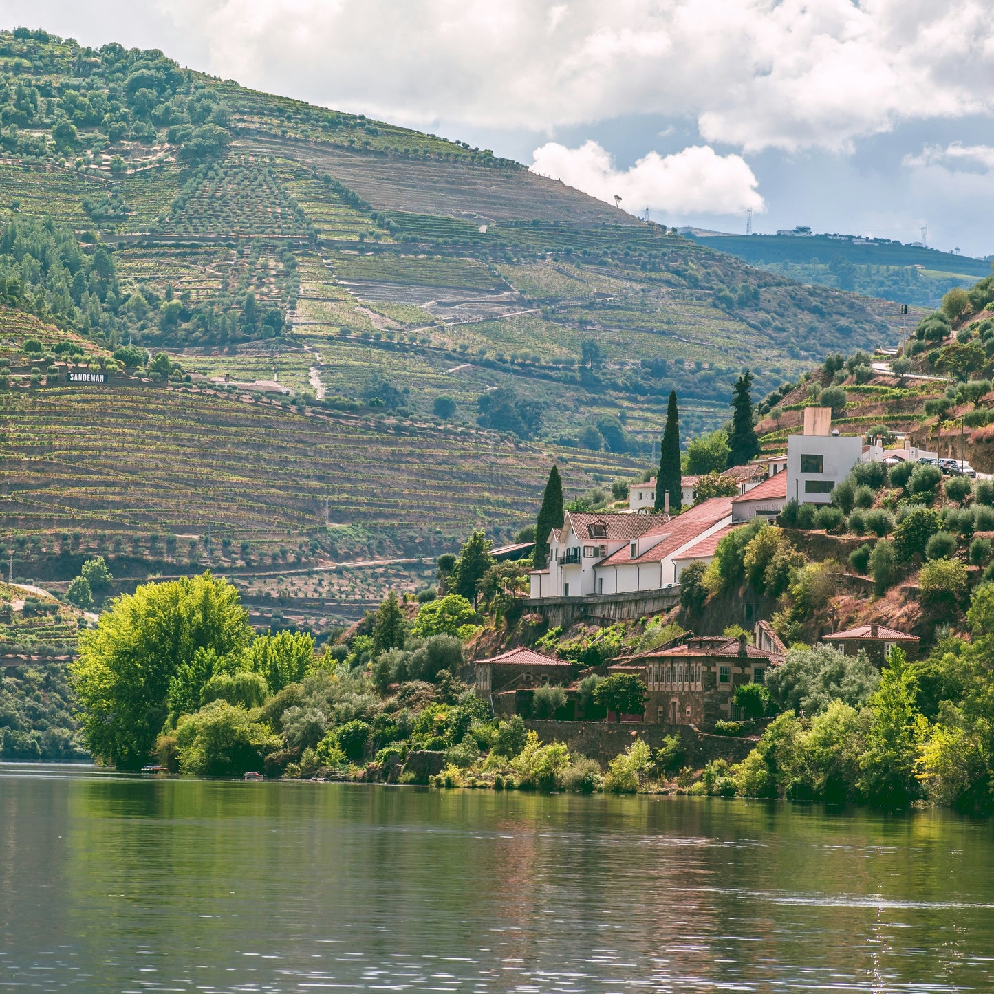 Hilly landscape with vineyards and a house near a body of water