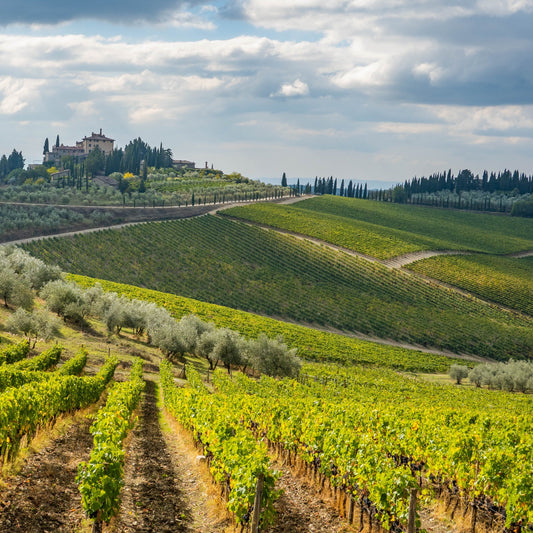 Wines of Italy Pt. 2: Central Italy | May 7th | 6:00-7:30pm