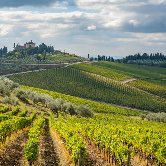Wines of Italy Pt. 2: Central Italy | May 22nd | 6:00-7:30pm