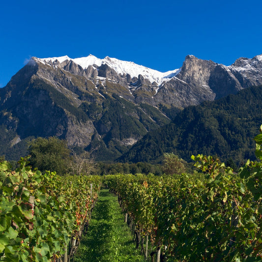 The Mountains are Calling: Alpine Wine Extravaganza | March 12th | 6:00-7:30 p.m.
