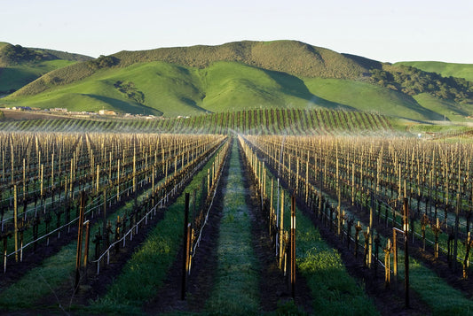 Wines of California Pt. 1: Santa Barbara | February 23rd | 6:30-8:00pm