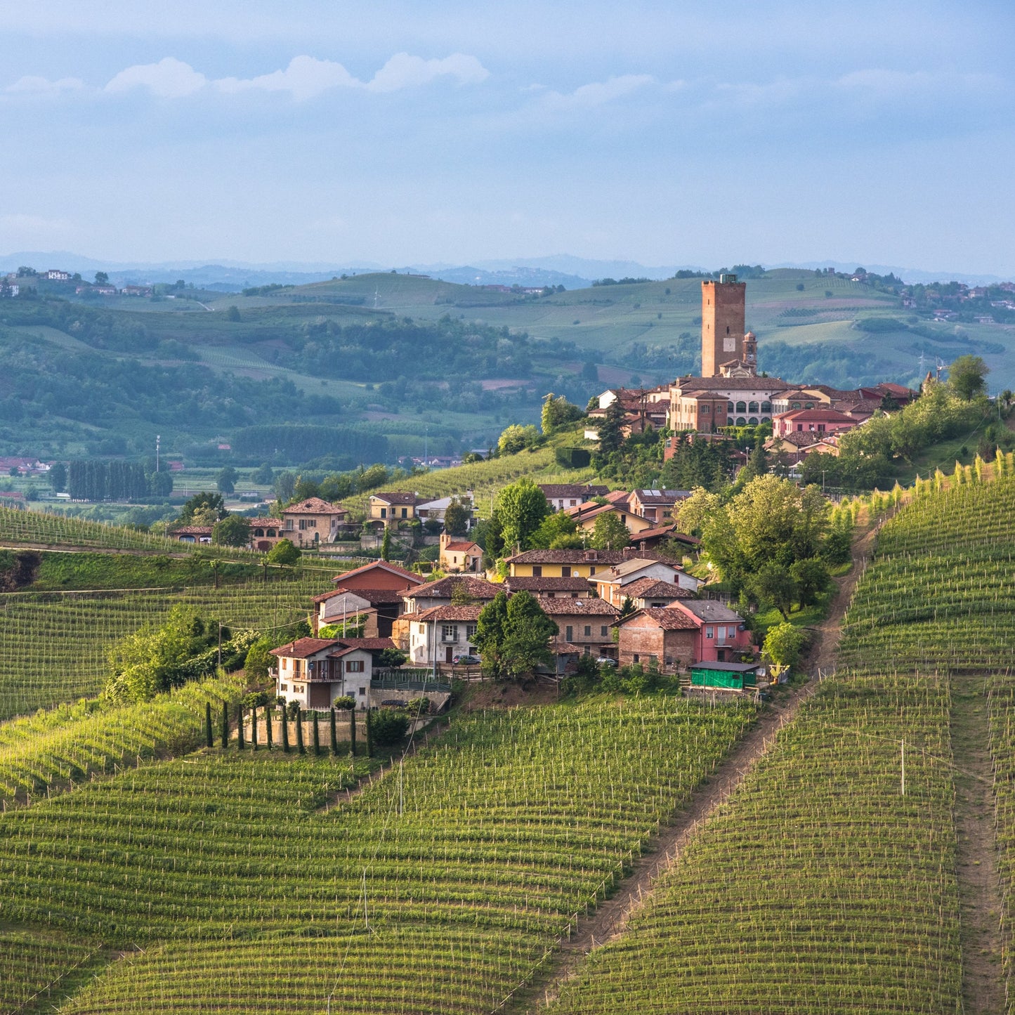 Wines of Italy Pt. 1: Northern Italy | April 8th | 6:00-7:30pm