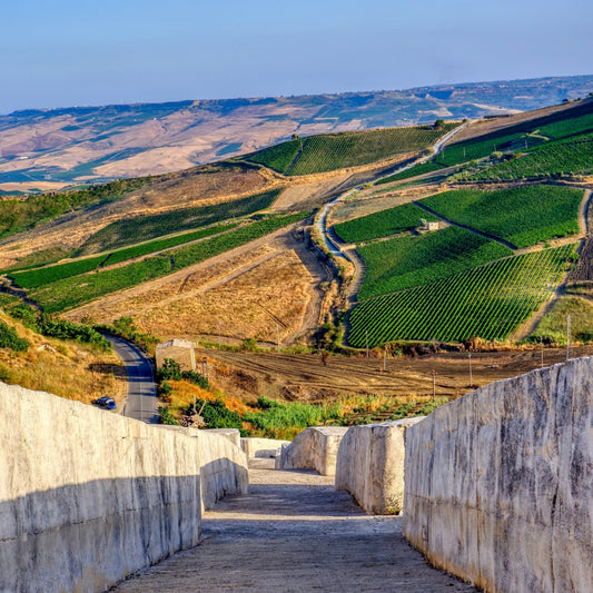 Wines of Italy Pt. 3: Southern Italy | June 13th | 6:00-7:30pm
